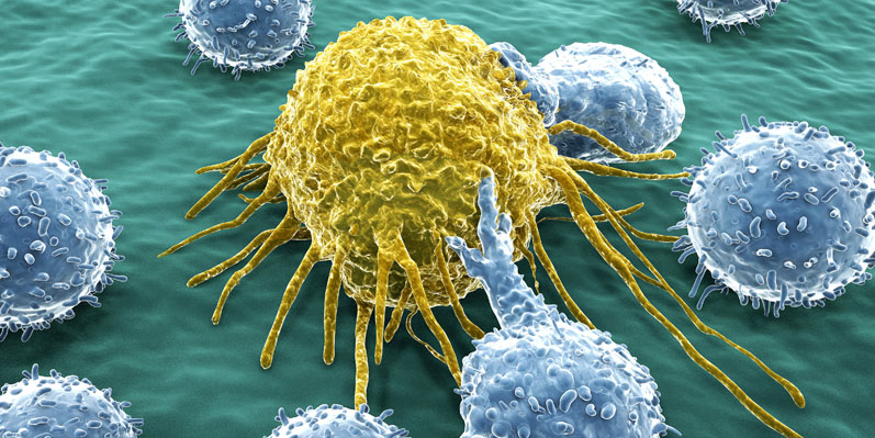 Investing in a manufacturing infrastructure to harness tumour-infiltrating lymphocytes (TILs) for cancer treatment